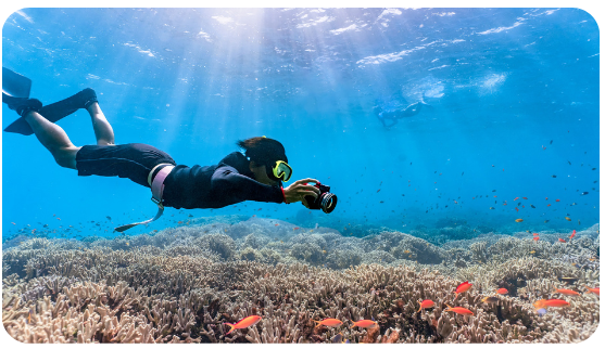 Buceo